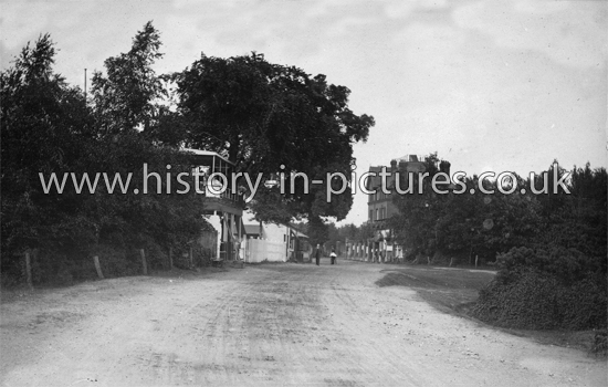 High Beech, Epping Forest, Essex. c.1913.
